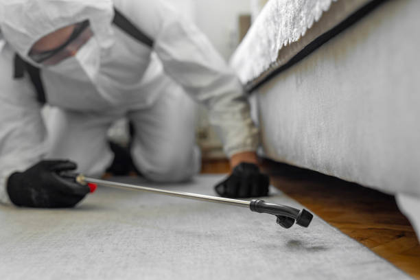 Professional Bed Bug Control technician working in Charles City County County, VA